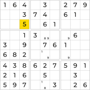 Sudoku X Academy Filling in Notes