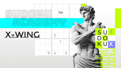 X-Wing Sudoku Technique Happy Hippo & SodukuX